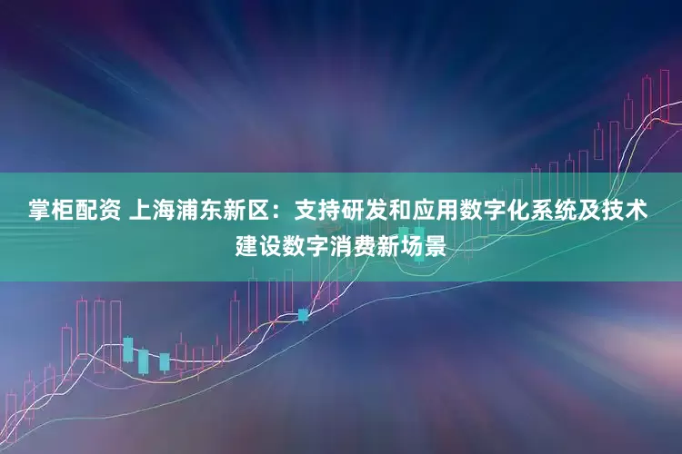 掌柜配资 上海浦东新区：支持研发和应用数字化系统及技术 建设数字消费新场景